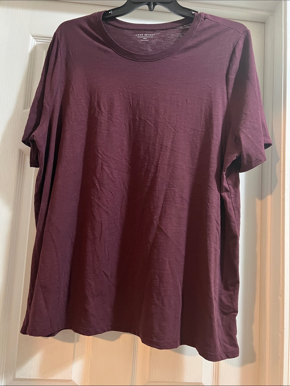Lane Bryant Men's Crew Neck T-Shirt in Burgundy Plum